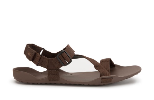 Sverige-xero Skor Z-trek-den Lätta Packbara Sportsandalen Brun