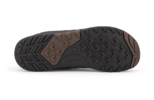 Pecan Sverige-xero Skor Daylite Hiker Fusion-men