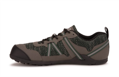 Terraflex Ii-trail Löpning Och Vandring Sko-män Sverige-xero Skor Skog